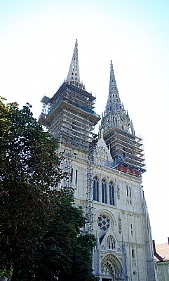 Trees & Cathedral