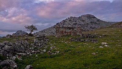 The Old Sheep Farm