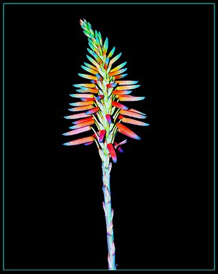 colori di notte