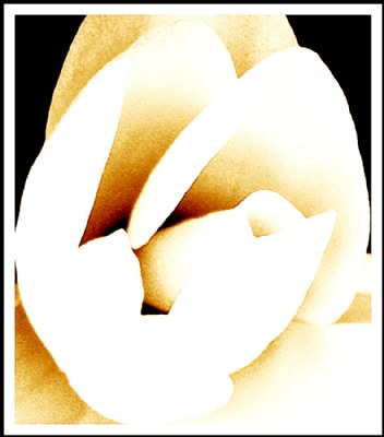 ;;;;;;;;;;;;;;;;;;;;;;;;;;;;;;;;;;;;;;;;;;;;;;;;;;;;