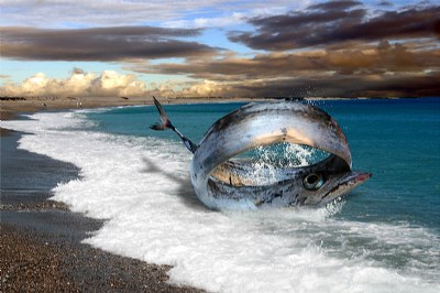 Strange on the beach