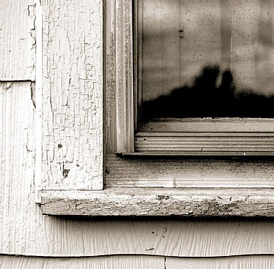 window scape