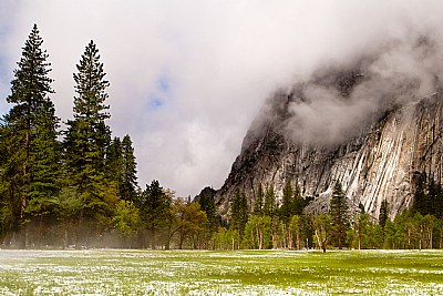 Misty Morning in Yosemite