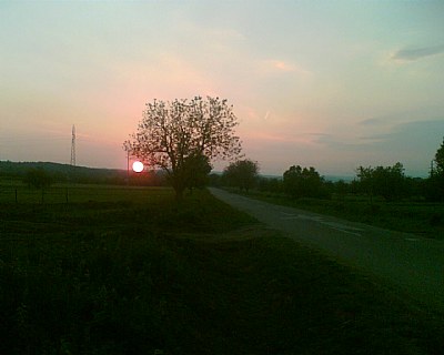 Road of dusk