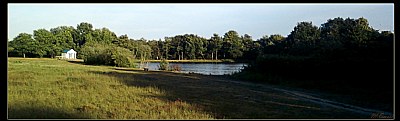 Heronry Pond