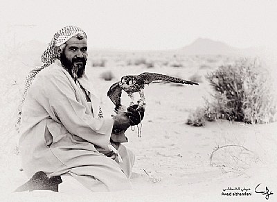 Falcon and a man of the desert