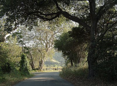 Backroad, SLO County