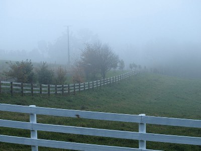 Fence