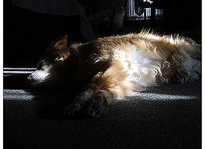 I played too hard.
