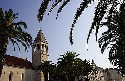 Palms & Sky