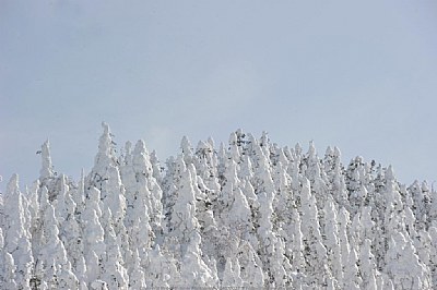 Snow Ghosts