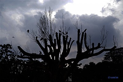 THE CLOUDY SKY OVER KOLKATA