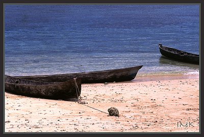 Beached Canoes