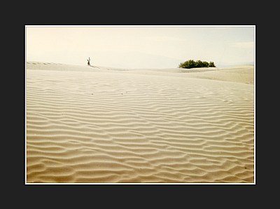 a walk in sand