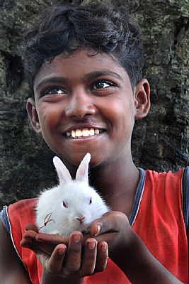 Boy with rabbit
