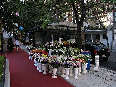 Florista
