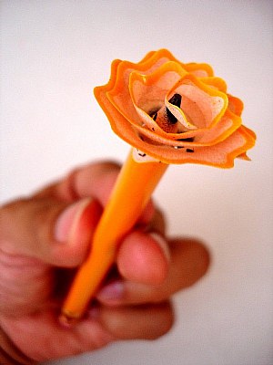 Pencil Flower