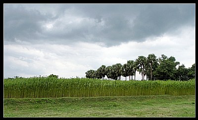 Cloudy Weather...