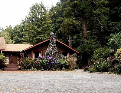 A Home In The Redwoods