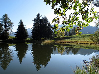 Lac des Joncs