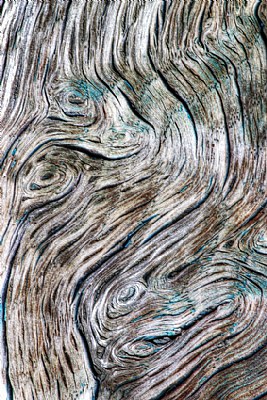 Wood Swirls