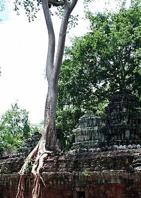 Angkor 33