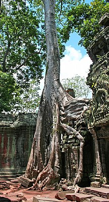 Angkor 38