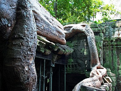 Angkor 39