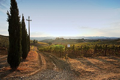 Tuscany Landscape