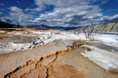 Yellowston N.P.
