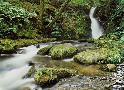 Dolgoch Waterfall