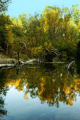 Autumn on the River