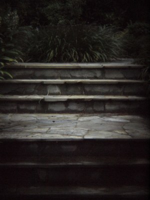 Steps