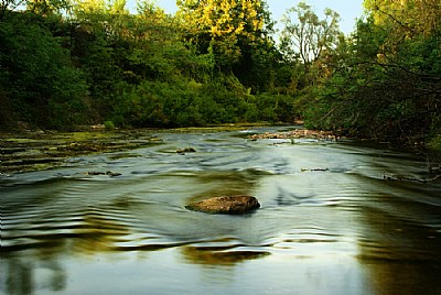 Autumn on the River I