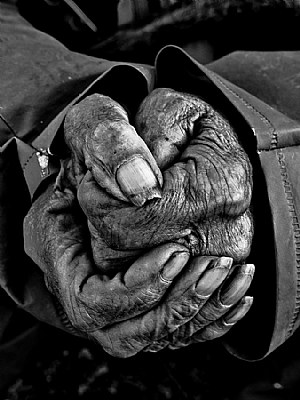 Working hands