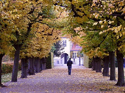 Autumn in the city