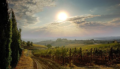 Tuscany Landscape 4