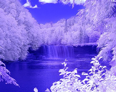 Falls In Infrared