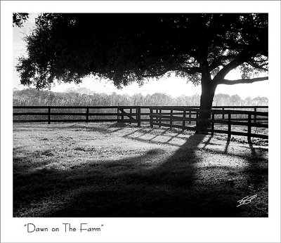 Dawn on The Farm