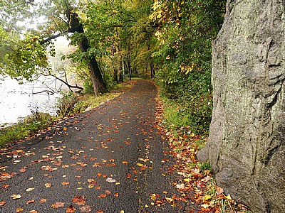 A Walk in Autumn