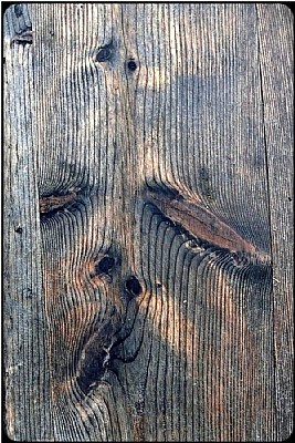 the face in the fence