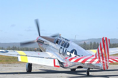 P-51 Mustang WWII Fighter