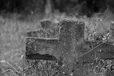 Asylum's Cemetery
