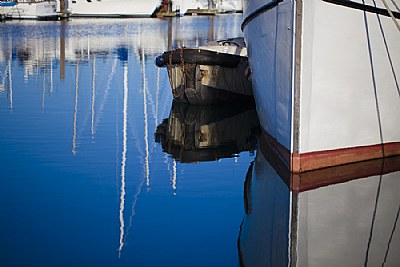 In the Harbor