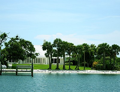 House & Trees