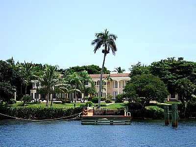 Palm Tree & House