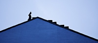 Roof w/bird