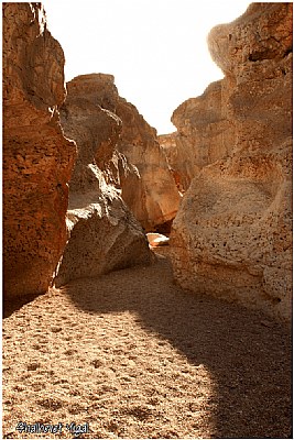 In the Negev desert (il)