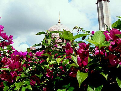Mosque & Flowers