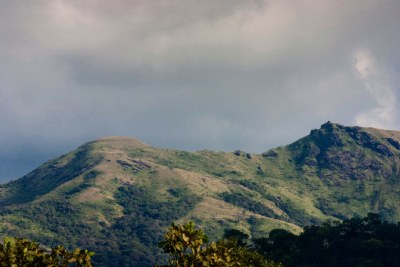 Bramhagiri forest 